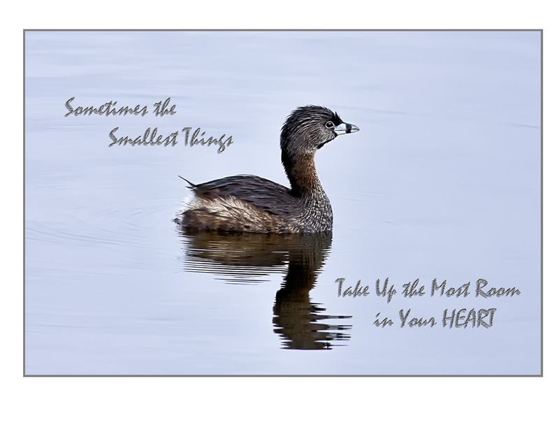 The Smallest Things by Marlene Smith